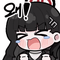 블루아카) [스포] 리오 나무위키 작성한 놈 누구냐 ㅋㅋㅋ_1.gif