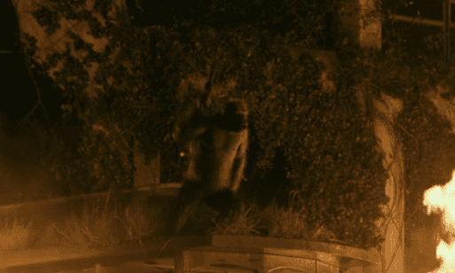 DC) 얘네 영화에 진짜 큰일나는 경우_8.gif