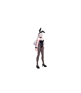 [던파] 던전앤파이터 바니걸 아바타 총정리 및 신규 애니메이션_14.gif