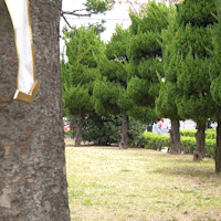 ori/25/04/23/196610ad3bf56004a.gif?icon=4314