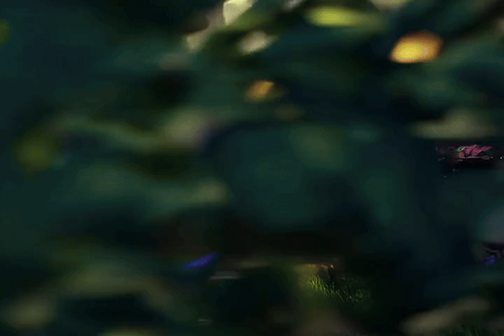 삼성, 비디오 생성 모델 품질 높이는 ‘ANSE’ 프레임워크 공개_2.gif