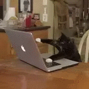 와! 신작 밀리터리 시뮬레이터 게임!_2.gif
