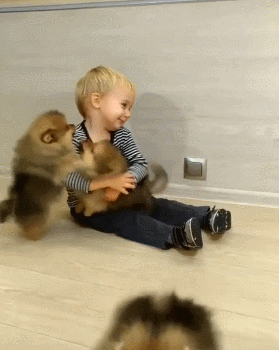 맹수들에게 습격당하는 어린이 ㄷㄷㄷ_1.gif