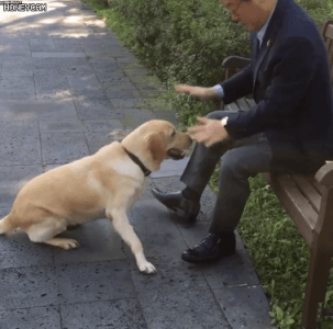 짬통 이제 출발했다는 거 솔직히 이해는 감(움짤 다수)_9.gif