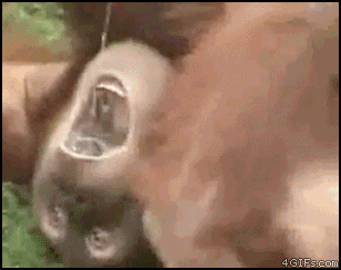 ㅇㅇㄱ) 얘들아 지금 미리미리 탄약 분배해두자_18.gif