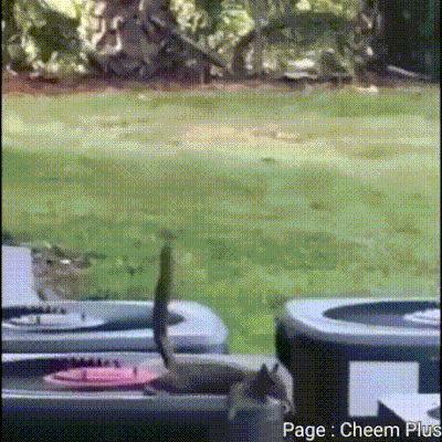 ㅇㅇㄱ) 얘들아 지금 미리미리 탄약 분배해두자_16.gif