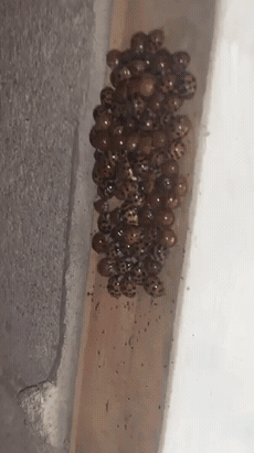 이건 너희가 시작한 거잖아_4.gif