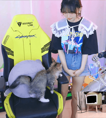 인방) 서새봄이 고양이 때문에 구입한 물건들_25.gif