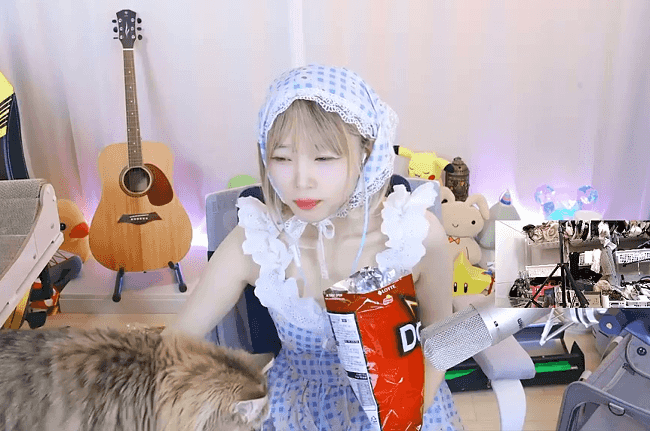 인방) 서새봄이 고양이 때문에 구입한 물건들_28.gif