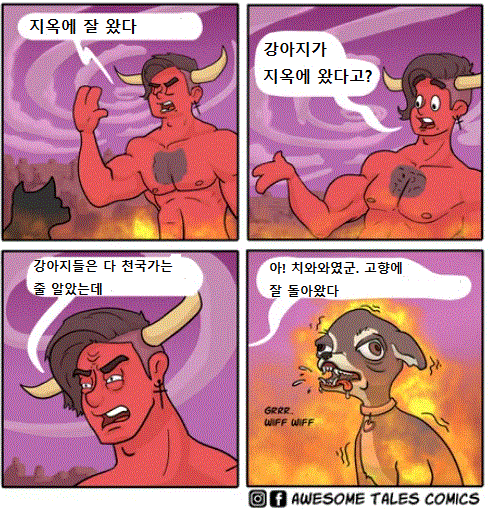 "강아지들은 다 천국에 가는줄 알았는데!"_1.gif