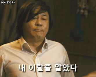 스텔라소라)총력전 비슷한 경쟁 컨텐츠 근황_7.gif
