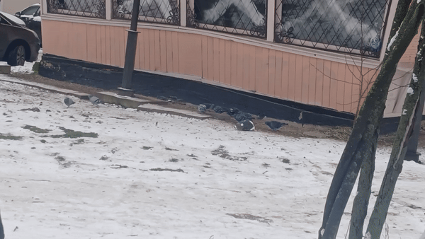 봇치의 리투아니아 여행 8화_10.gif