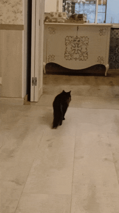 봇치의 리투아니아 여행 8화_25.gif