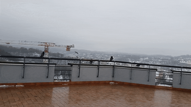 봇치의 리투아니아 여행 10화_17.gif