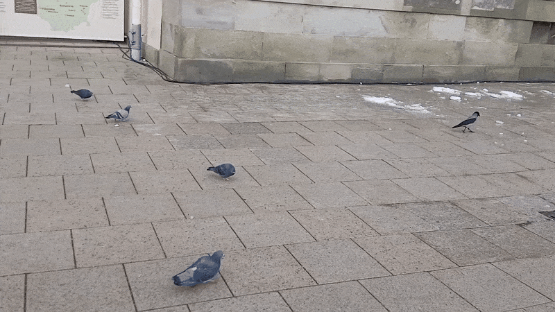 봇치의 리투아니아 여행 11화_10.gif