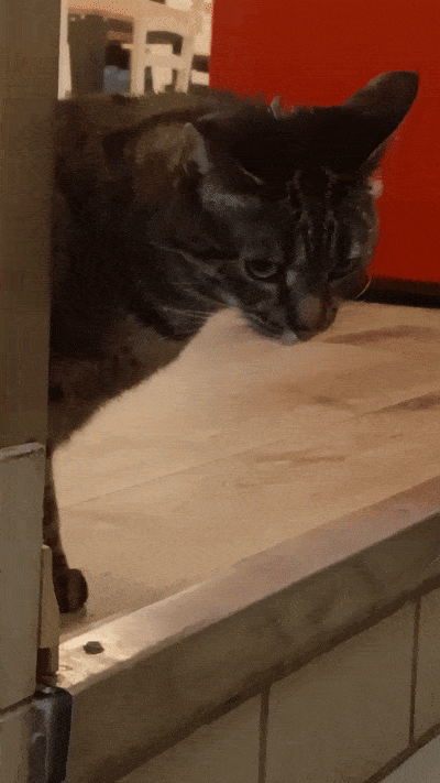 봇치의 리투아니아 여행 11화_19.gif