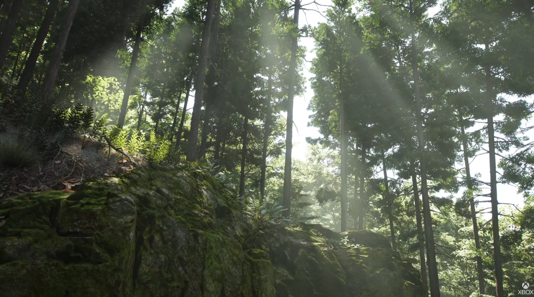 포르자 : 호라이즌 6 스크린샷 (한국어 더빙 지원)_74.webp