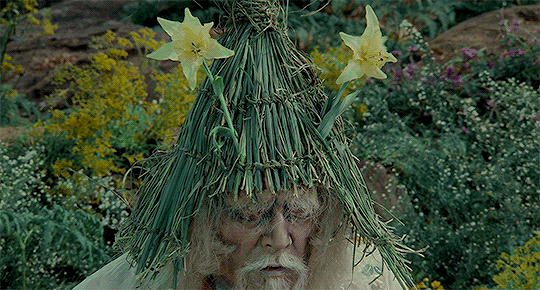 평생 흑백영화만 만들던 영화감독이 컬러영화를 만들면_8.webp