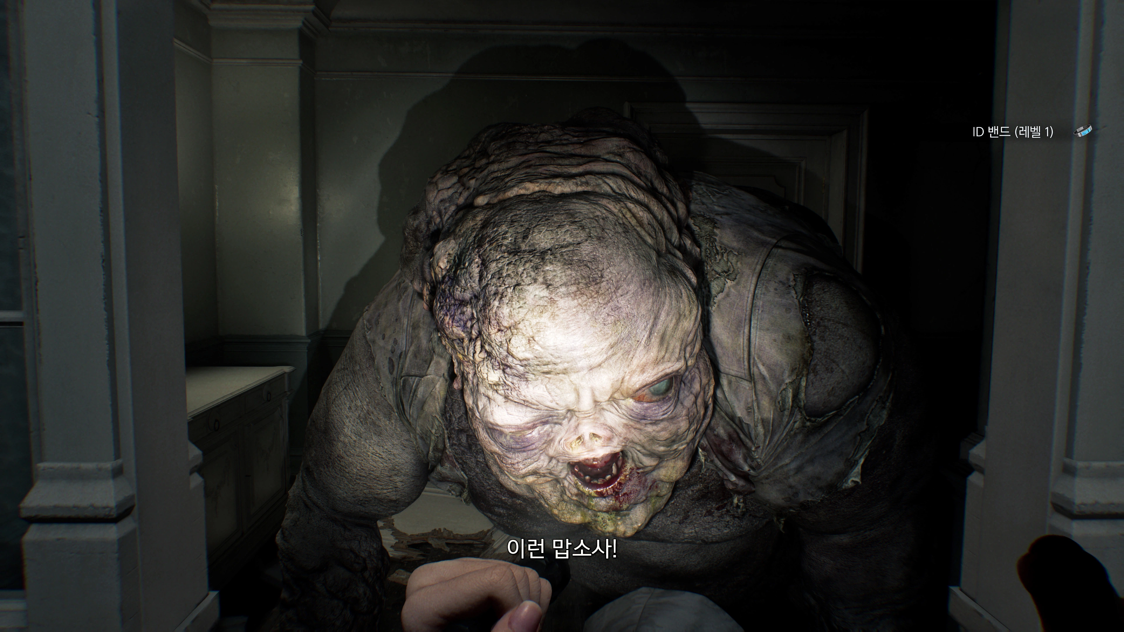 바이오 하자드 레퀴엠 - 역대급 비쥬얼(ps5프로)_20.webp