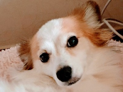 profile_image
