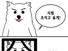 유게이들아 마지막 시험 조지고 올게 유머 게시판 루리웹