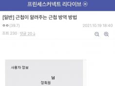 근첩이 알려주는 근첩 방역 방법 | 유머 게시판 | RULIWEB 근첩이 알려주는 근첩 방역 방법 | 유머 게시판 | Ruliweb
