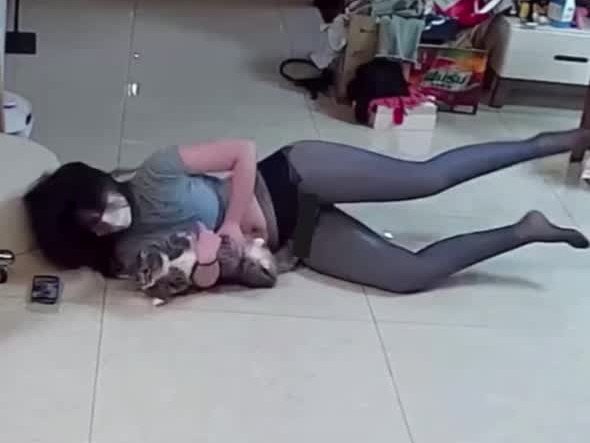 고양이 앞에서 기절한척 해보는 중국녀GIF