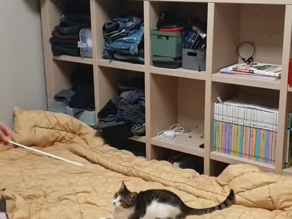 야, 너두 할수있어!!!